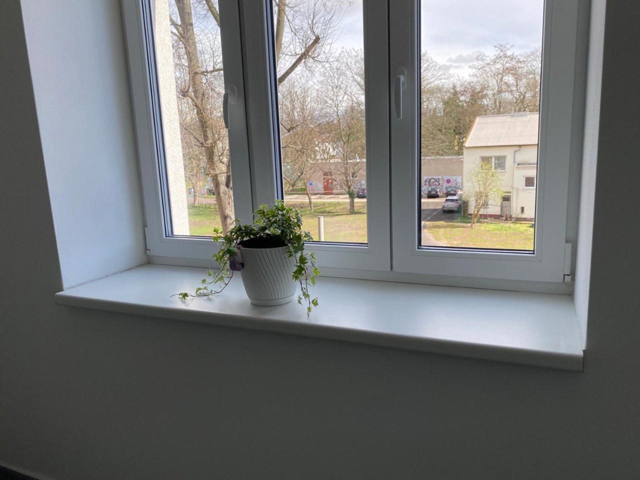 Perla Hradce 103 Apartman Hradec Králové Kültér fotó